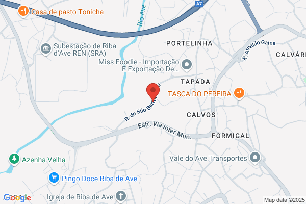 António F Freitas Machado