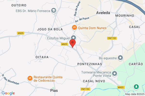 Ercia C F Sousa Silva