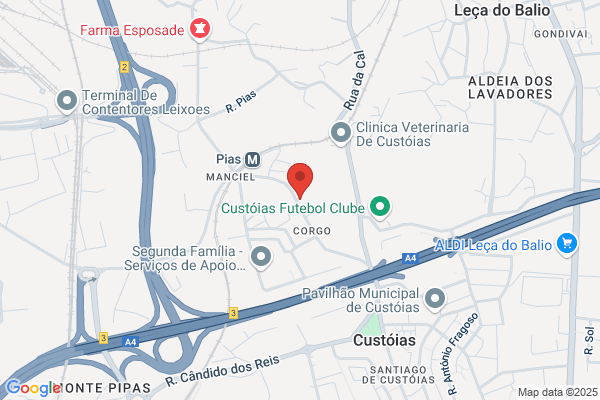 Carlos Gonialves Rocha Ribeiro