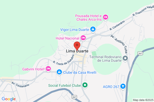 Duarte De Lima Mayer