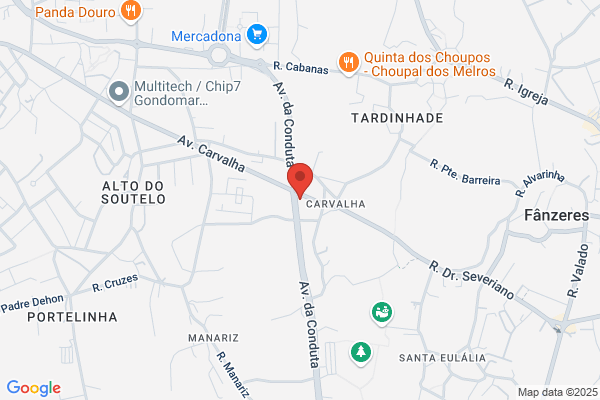 Joana Soares