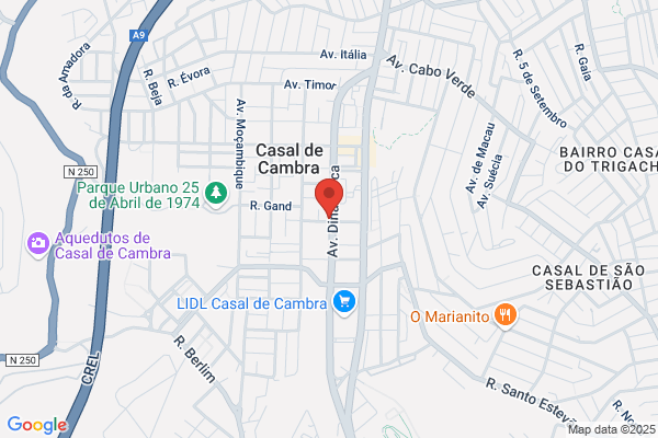 PetShop Casal Cambra Aviário
