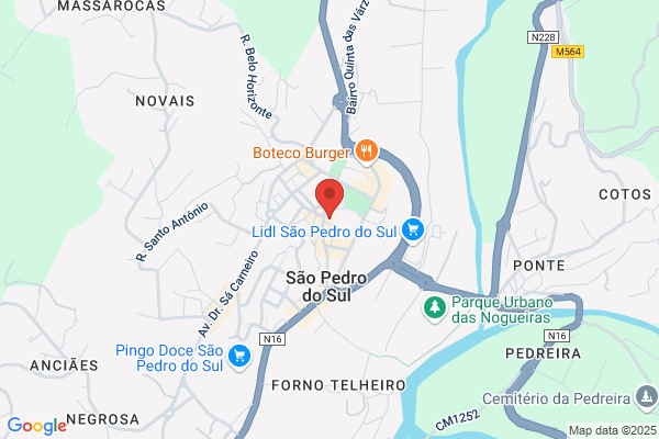 Pedro M S Rodrigues Almeida