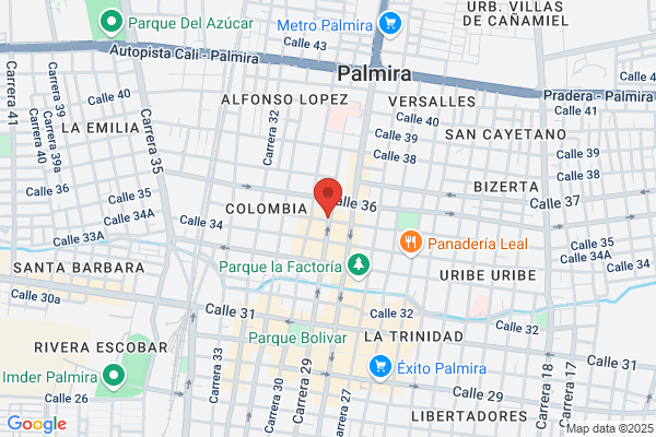 Interlengua-Instituto De Lenguas