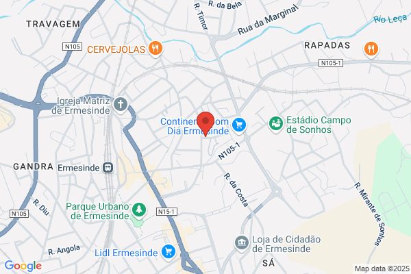 Carlos Gonialves Rocha Ribeiro