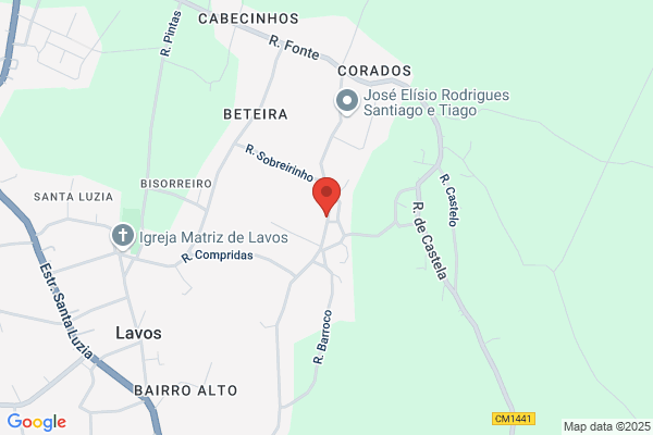 Carlos A Guerreiro Cunha