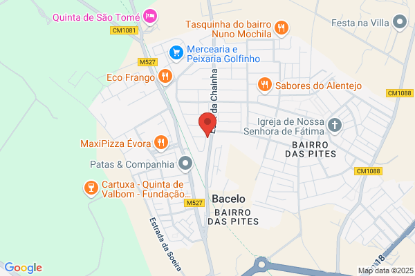 Edviges Fonseca