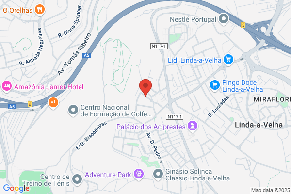 Clementina Costa Tinoco