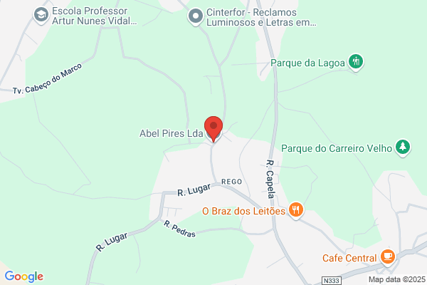 Abel Luís P Pires