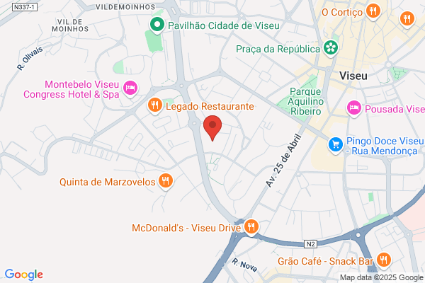 J M Barros Vizeu