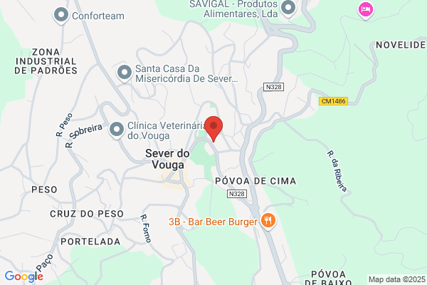 Lisete Jesus Cerdeira