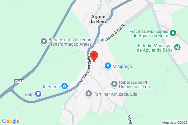 Francisco T Nunes Silva