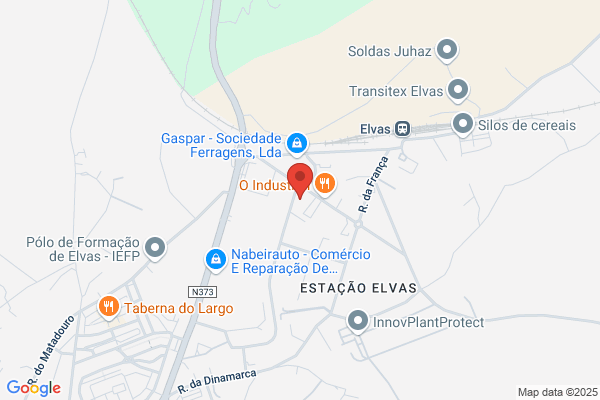 Paulo M G Barão Carapinha