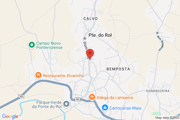 Hirondina M C Ribeiro Conceiï