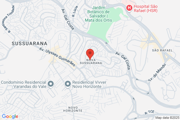 Salvador S Morais Pacheco