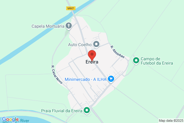 Fernando Contente Cação