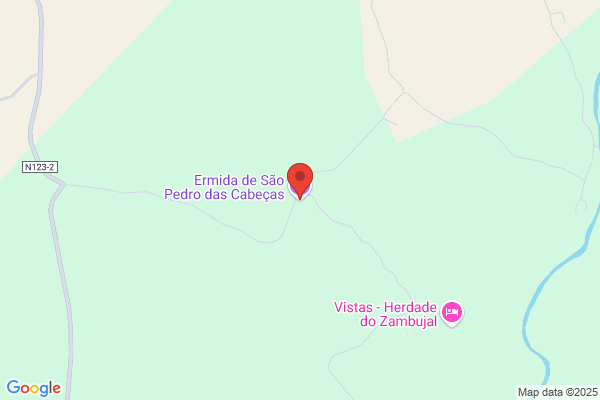 Pedro Castro De S