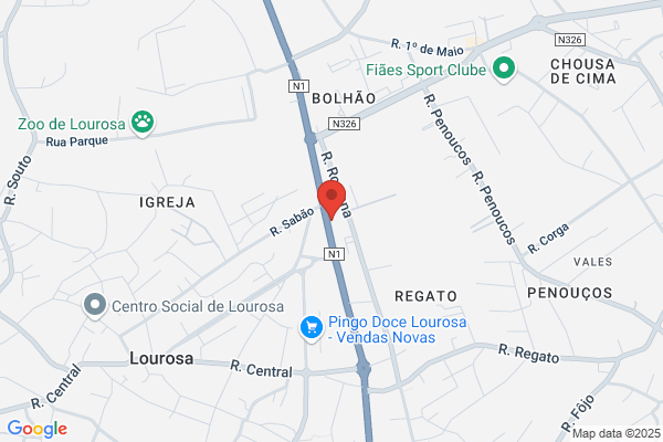 Zulmira N S Pereira Lima