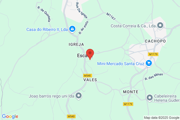 Fòica Da Igreja Paroquial Da Freguesia De sàclemente Paó gaiolo