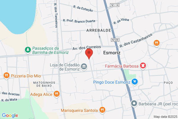 Ermelinda M Rodrigues Monteiro