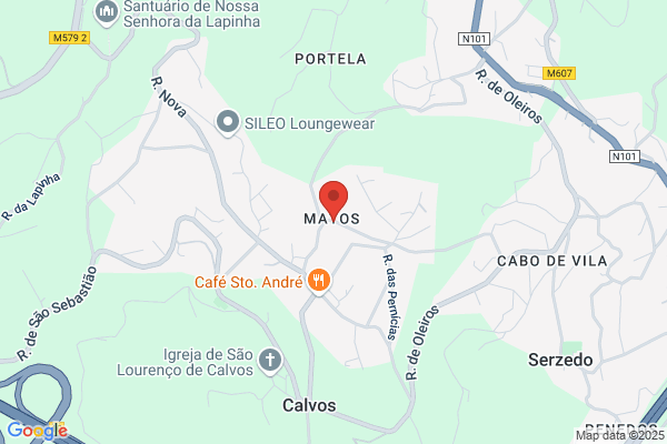 António F Correia Martins
