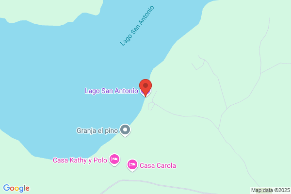 António J N Lago Queirós