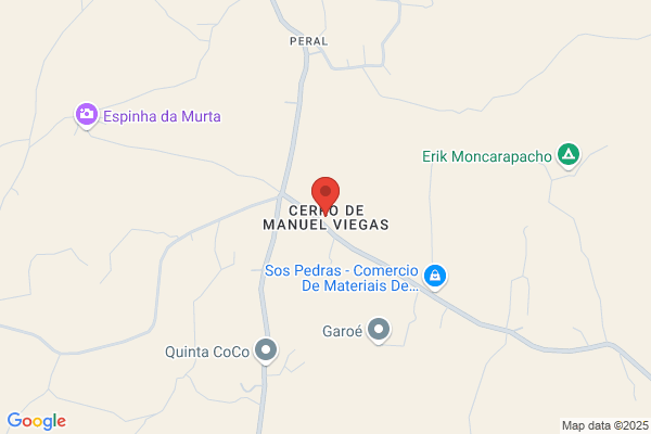 Viegas Guida