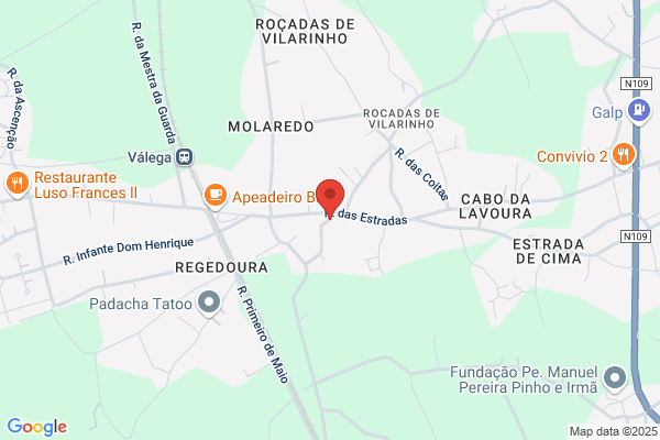 Alfredo J Silva Fidalgo