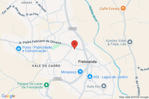 Armindo F Duarte Faria