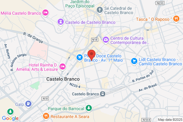 Jorge M Moreira Castelo-Branco