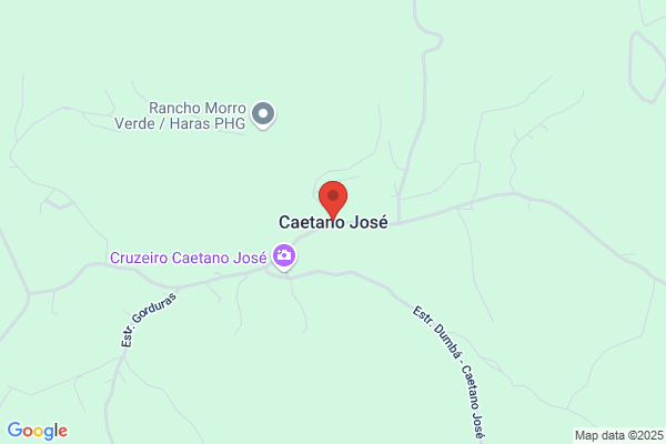 Manuel José Caetano
