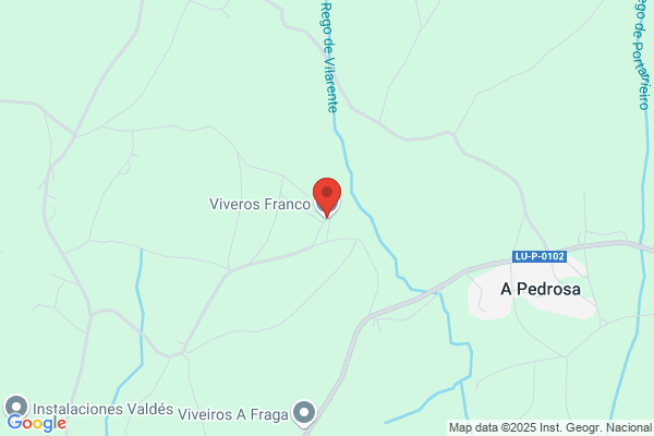 Anto Franco Viveiros