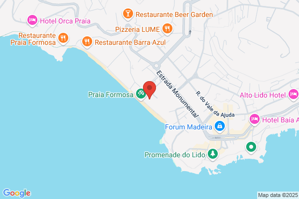 Luís P F Costa Lagos