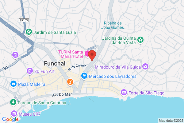 Instituto Do Bordado. Tapeiarias E Artesanato Da madeira