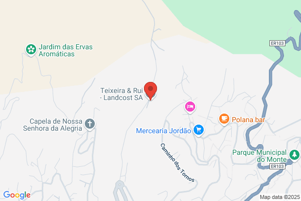 Teixeira & Mendonia. Lda