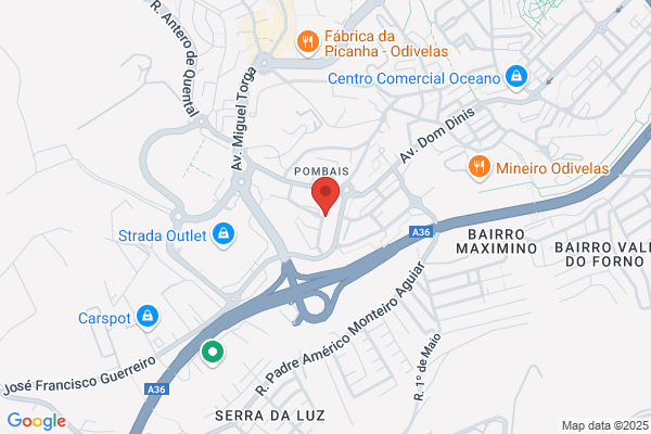 Tomé J Cruz Nunes