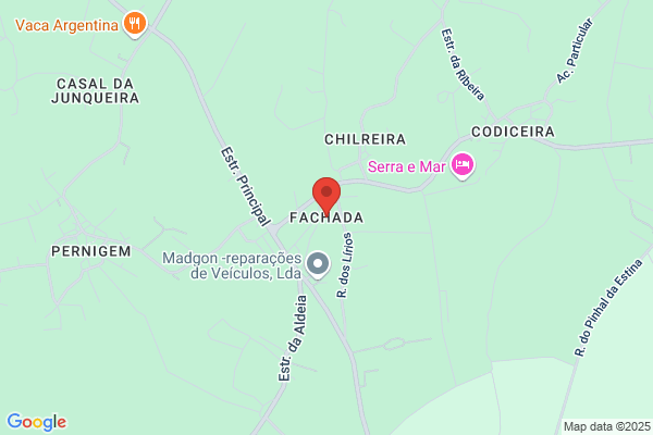 Top Dicas