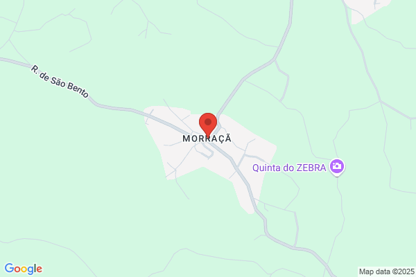 Carlos A Chaves Monteiro