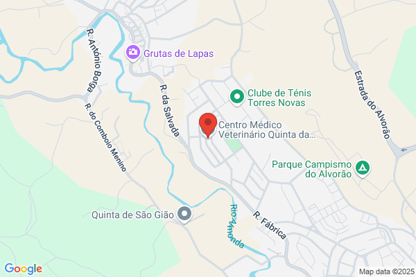 Clínica Veterinária Quinta Das Palmeiras Lda