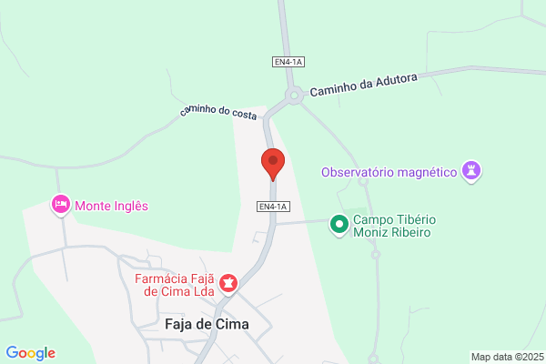 Ana C Cara Correia