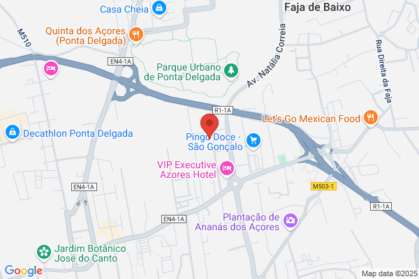 Isabel A M Lopes Furtado