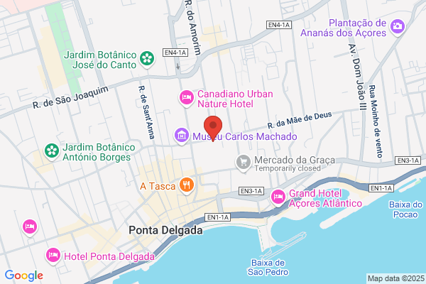 Margarida G S Tavares Sousa