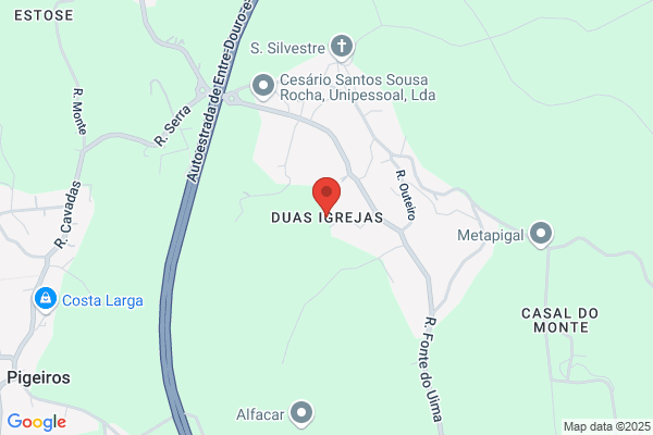 Delfim Silva Benfeitas