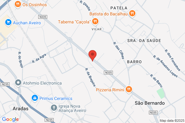 Raquel S B A Gouveia Lopes