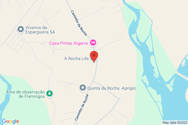 Anto Sçio Rocha
