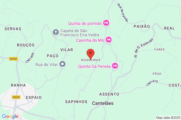 António N J Ribeiro Barros