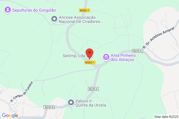 Seliser 2-Limpeza. Multiserviioes E Cooperaiao Tecnica. Lda