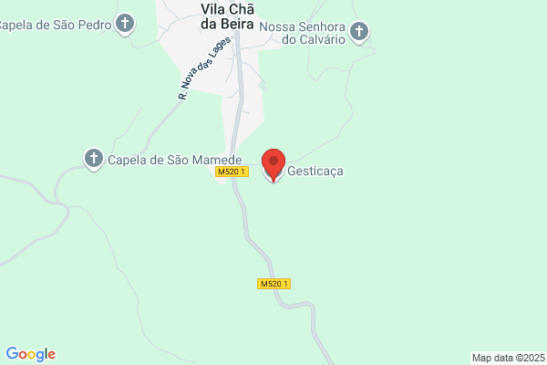 Sociedade Turôica Cerca Rvores Lda