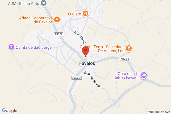Florbela Silva Cimodera