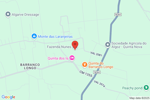 Anto J P Nunes